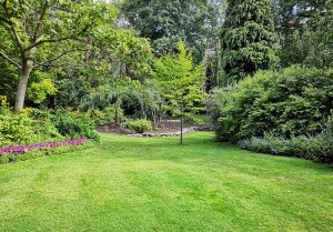Optimiser l'expérience du jardin à Ercourt
